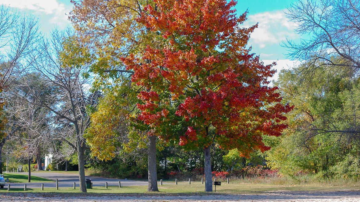 Episode #1512 Autumn Splendor