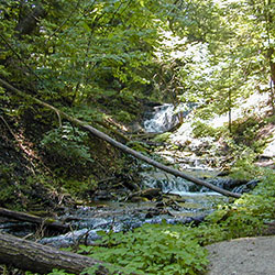 Weavers Creek Falls