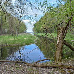 Shiawassee Wildlife Refuge