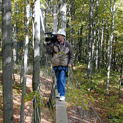 Treetop Canopy Walk