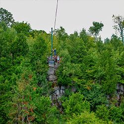 Treetop Zipline