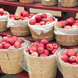 Farmer's Pantry