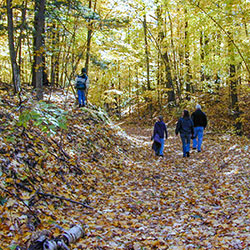 Reid Lake Trail