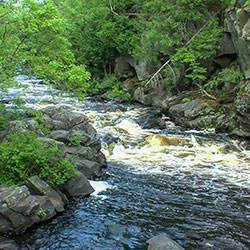 Horserace Rapids