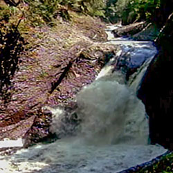 Gorge Falls