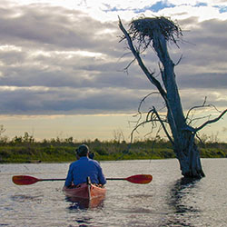 Midland Tridge Trail