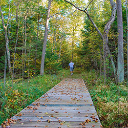 Negwegon State Park