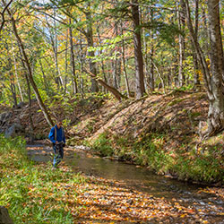 Erick Road Creek