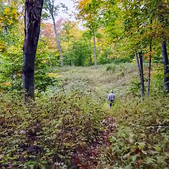 Brunos Run