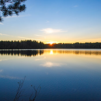 Hiawatha National Forest