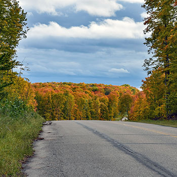 Forest Highway 13