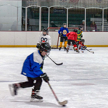 Little Bear West Arena