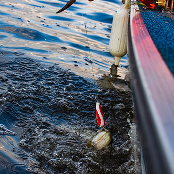 Fishing Saginaw Bay