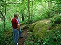 Sanilac Petroglyphs Historic State Park Gallery