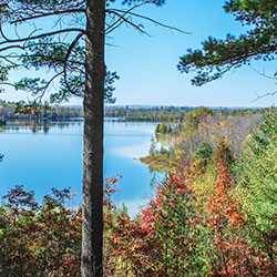 Rifle River Recreation Area