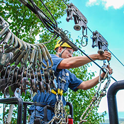 Treetop Zipline