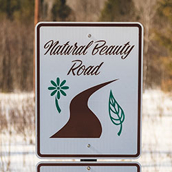 Natural Beauty Road