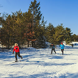 Cross Country Skiing