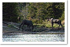 Van Riper State Park