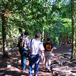 Bruce Trail