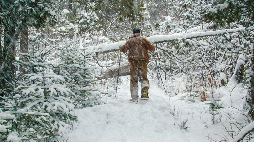 7724 Wilderness Snowshoeing